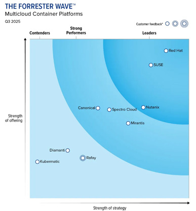 דו"ח פורסטר.