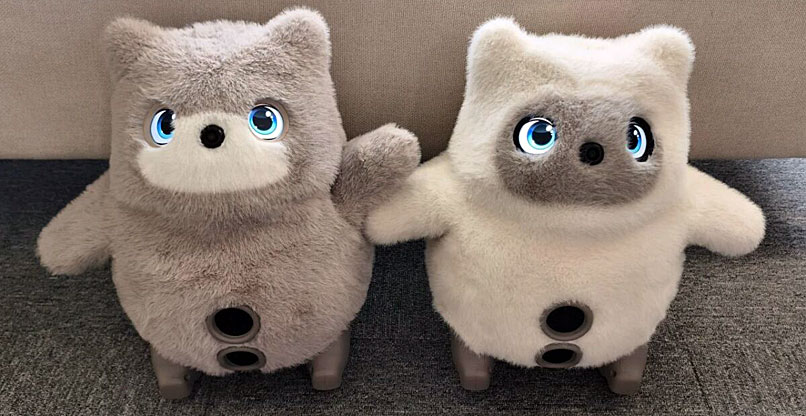 ניקו ונואה, הרובוטים-בובות של סוויצ'בוט.