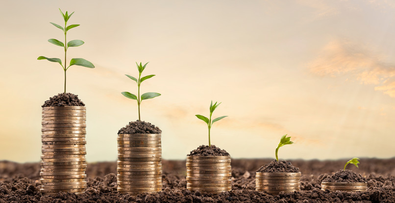 צניחה בהשקעות בהיי-טק.