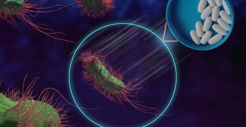 הפכו לבעיה חמורה. חיידקים עמידים לאנטיביוטיקה.