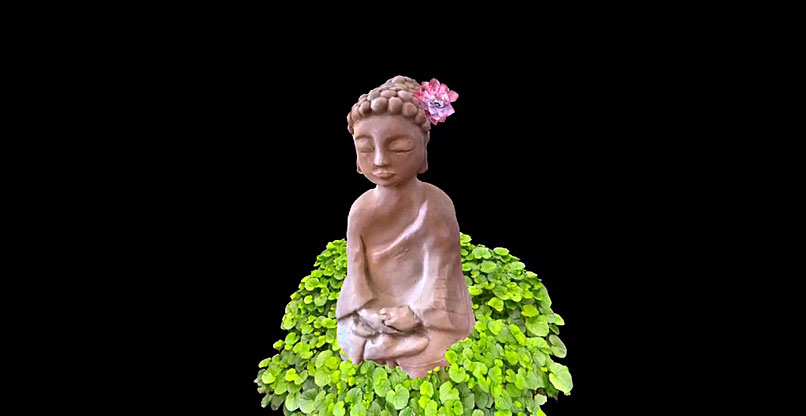 קול מקום - פרולוג מאת תאי רונה, טל מנואל ציפורי ונועה בראל.