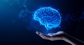 מחקר ש-"מפוצץ את המוח".