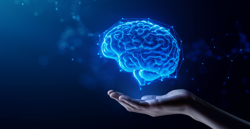 מחקר ש-"מפוצץ את המוח".