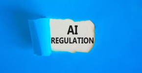 האם המלצות הצוות יתורגמו לפעולה?