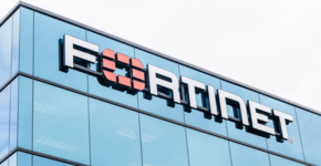 פגיעות בחומרה קריטית. פורטינט.