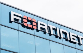 פגיעות בחומרה קריטית. פורטינט.