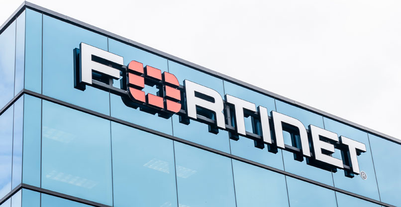 פגיעות בחומרה קריטית. פורטינט.