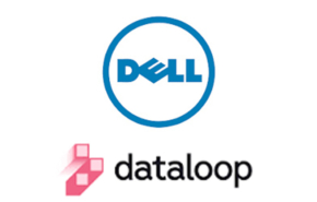 דל במגעים לרכישת דאטהלופ.