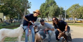 עובדי סייסנס נותנים אהבה לכלבי עמותת "גג לחיות".