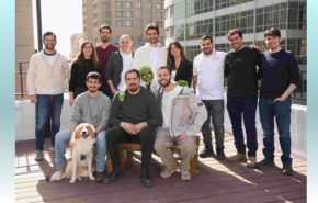 צוות חברת קמליו.