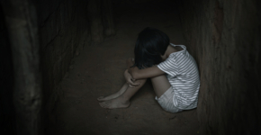 מכר תכנים פדופיליים.