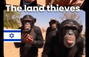 משווים ישראלים לקופים ב-Upscroll.