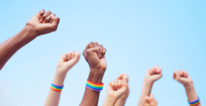 כתבה שהכעיסה לא מעט אנשים.