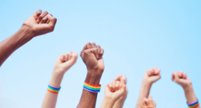 כתבה שהכעיסה לא מעט אנשים.