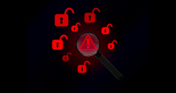 רשת הונאה שהפעילה 150 אתרים מתחזים.