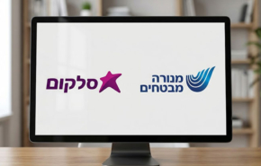 שני פרויקטים בשתי חברות גדולות.