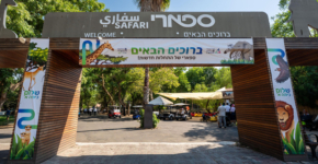 חגיגה בספרי לילדות וילדי כיתה א' של בזק בינלאומי.